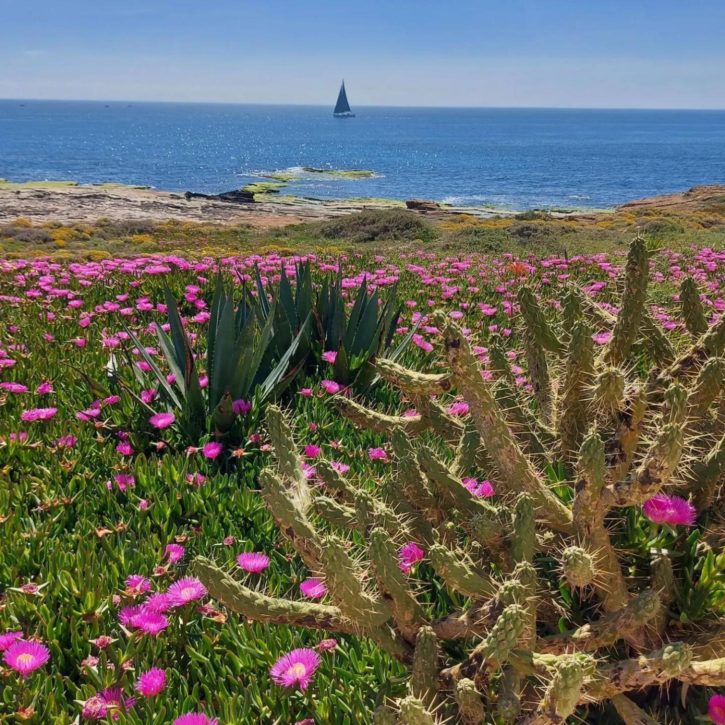 Maravillosa Terraza Con Vistas Al Mar, La Mata Torrevieja Ngoại thất bức ảnh