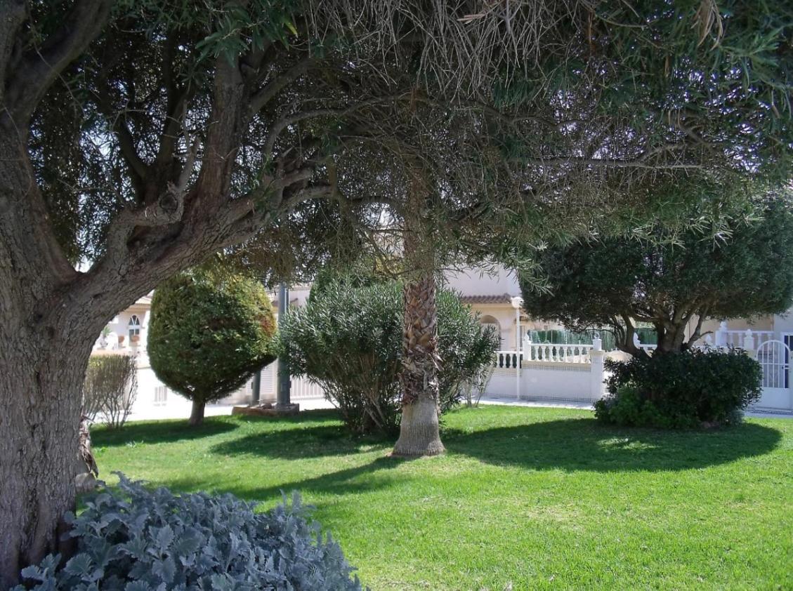 Maravillosa Terraza Con Vistas Al Mar, La Mata Torrevieja Ngoại thất bức ảnh